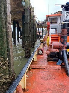 WELL MAINTAINED SINGLE SCREW TUG FOR SALE