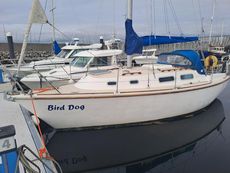 Westerly Griffon