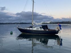 Nicholson 32