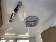 2024 Bayliner VR6 OB