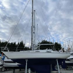 Contessa 32 Inara “Daughter of the Storm”