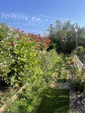 Garden looks good most of the year 
