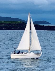 WESTERLY TIGER + YARD TRAILER + DINGHY