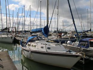 Westerly Grffon MK1