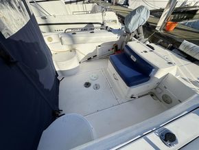 IMG 3967