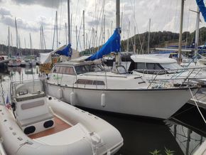 With Back Deck Cover