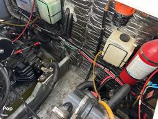 1992 Sea Ray 350 Express Bridge