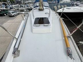 IMG 2035