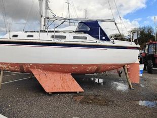 26ft Westerly Griffon