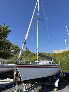 COPLAND HARRIER 20