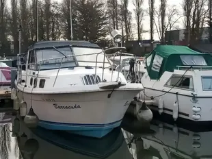 Carver 2807