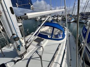 IMG 3513