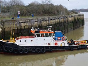 WELL MAINTAINED SINGLE SCREW TUG FOR SALE