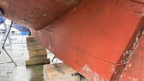 IMG 5557
