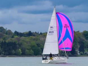 Elan 31 - 2004 "Dram"