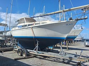 Beneteau Evasion 25 Motorsailer  great value &pound;8500 ono