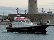 2009 Pilot Boat For Sale