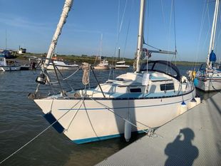 1980 Seal 28