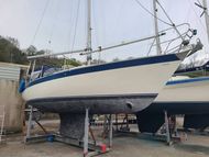 1979 Dolphin 31