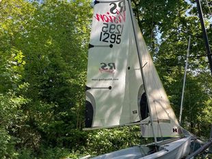 RS Vision 1295