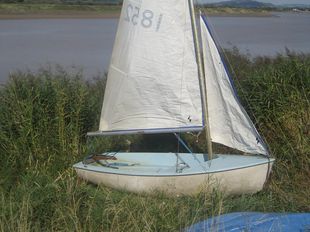 Gull sailing dingy