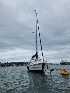 WESTERLY BERWICK 31