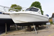 2011 Rodman 810