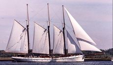 203' x 30' x 13' Steel Tall Ship