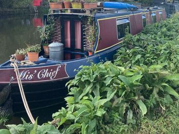 50ft Narrow Boat London-  cruiser stern style