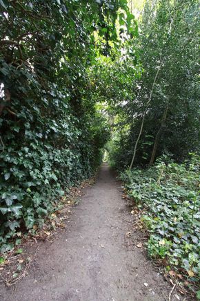 secluded pathway on Ash island
