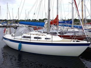 1999 Hurley 800 Comfort