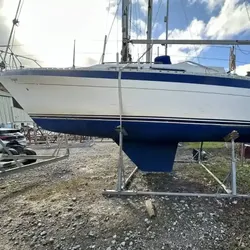 1981 Moody 29