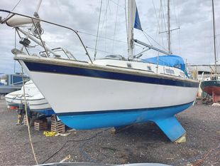 Westerly Konsort (available)