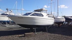 8335121 20220527080310137 1 XLARGE