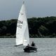 Gull 2914