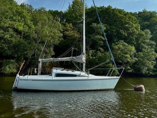 Hunter Horizon 21