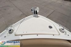 2020 Sea Ray 250 SLX