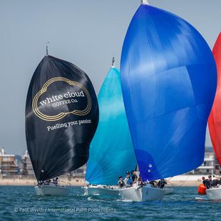 J/80 Reigning class race winner.
