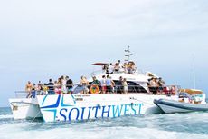 2009 Professional Catamaran