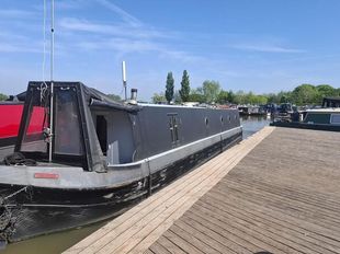 Monkeytree 60ft Trad Stern