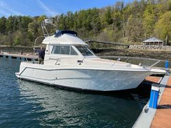 Rodman 800 Fly Bridge