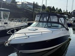 Rinker 230 Excellent Condition (New Engine)