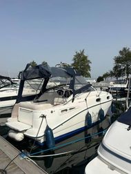 Sealine S23 Petrol