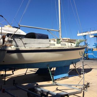 Westerly Konsort