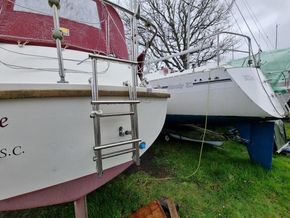 Westerly Chieftain Aft Cabin - Stern