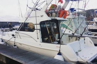 2007 Faeton Moraga 940