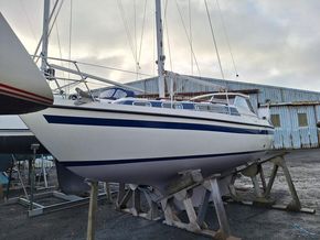 Mascot 28 