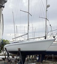 Hunter Horizon 30