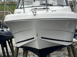 Merry Fisher 595