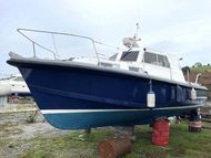 1982 Mitchell 31 MK1